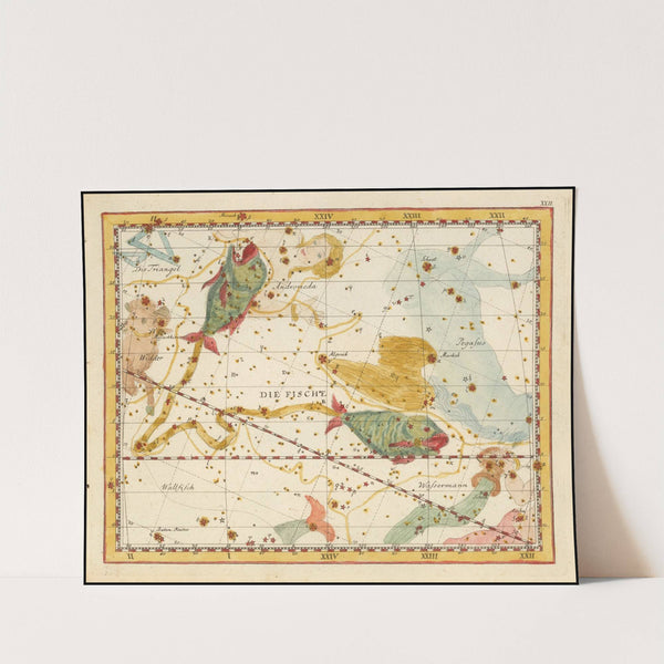 Pisces (1805) by Johann Elert Bode