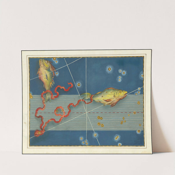 Pisces (1603) by Johann Bayer