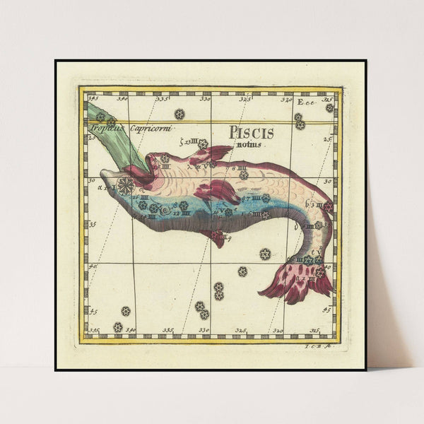 Ursa minor (1730) by Corbinian Thomas