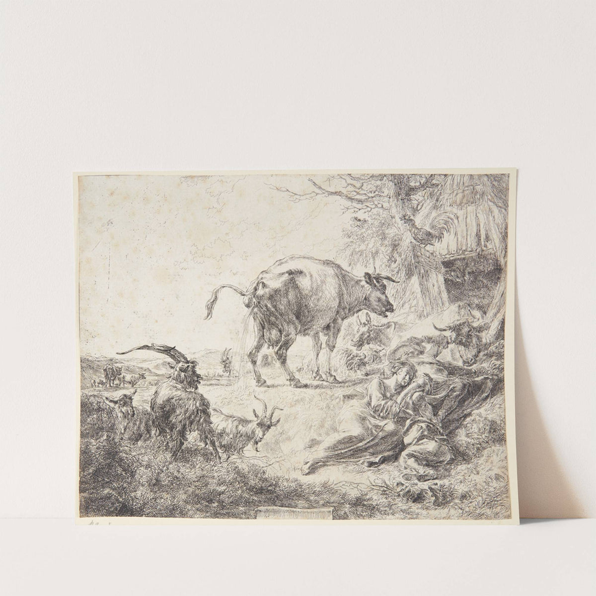 Pissende ko by Nicolaes Pietersz. Berchem