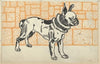 Pitbull Terrier