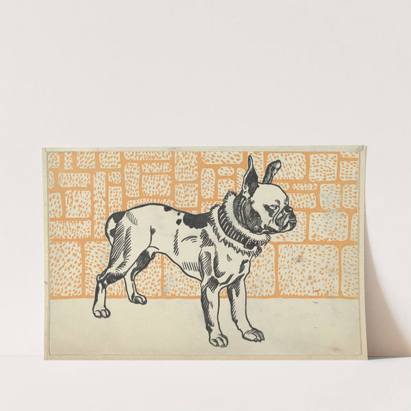 Pitbull Terrier by Moriz Jung