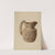 Pitcher by Max Soltmann