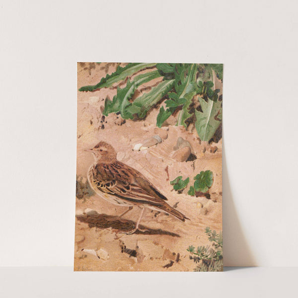 Pitpit Farlouse (1880) by Léo-Paul Robert