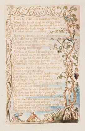 Pl. 11 – The School Boy