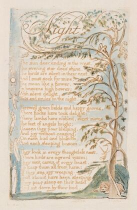 Pl. 18 – Night