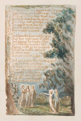 Pl. 19 – Night