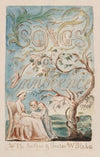 Pl. 2 – title page