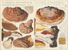 Placodes applanatus, Placodes ungulatus (1915-1945)