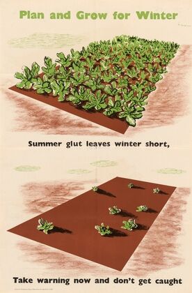 Plan and Grow for Winter – Summer Glut Leaves Winter Short – Take Warning Now and Don’t Get Caught