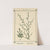 Plant-atlas to 'My water-cure' Pl.06 by Sebastian Kneipp