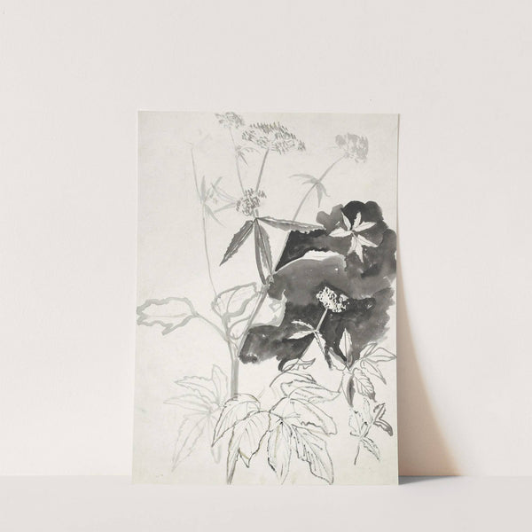 Plantenstudie (1874) by Carel Adolph Lion Cachet