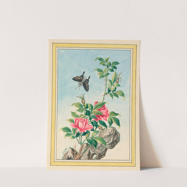 Plantes de Chine Pl.003 (1776) by Pierre Joseph Buchoz