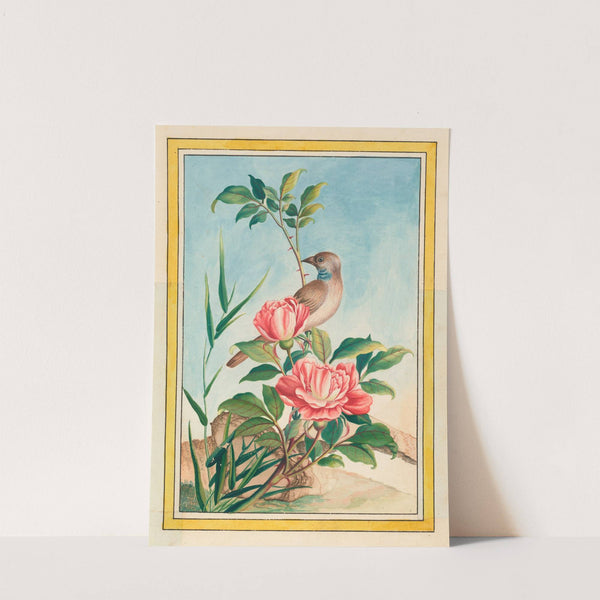 Plantes de Chine Pl.004 (1776) by Pierre Joseph Buchoz