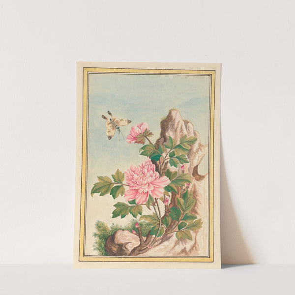 Plantes de Chine Pl.010 (1776) by Pierre Joseph Buchoz