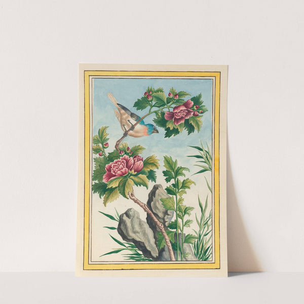 Plantes de Chine Pl.013 (1776) by Pierre Joseph Buchoz