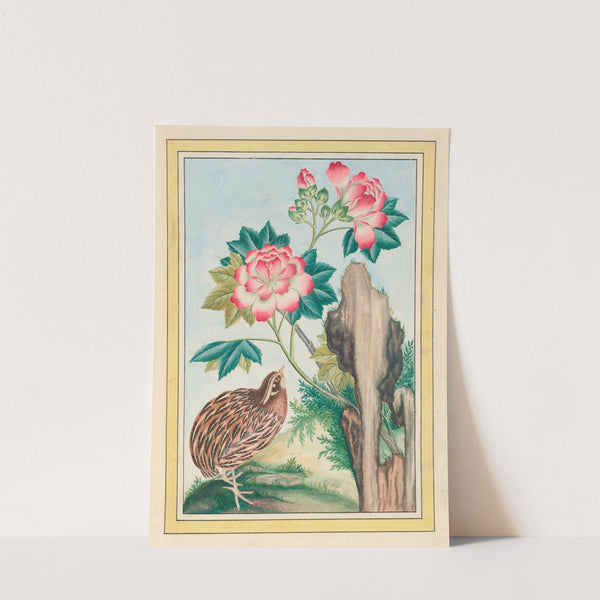 Plantes de Chine Pl.015 (1776) by Pierre Joseph Buchoz