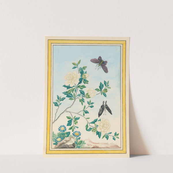 Plantes de Chine Pl.017 (1776) by Pierre Joseph Buchoz