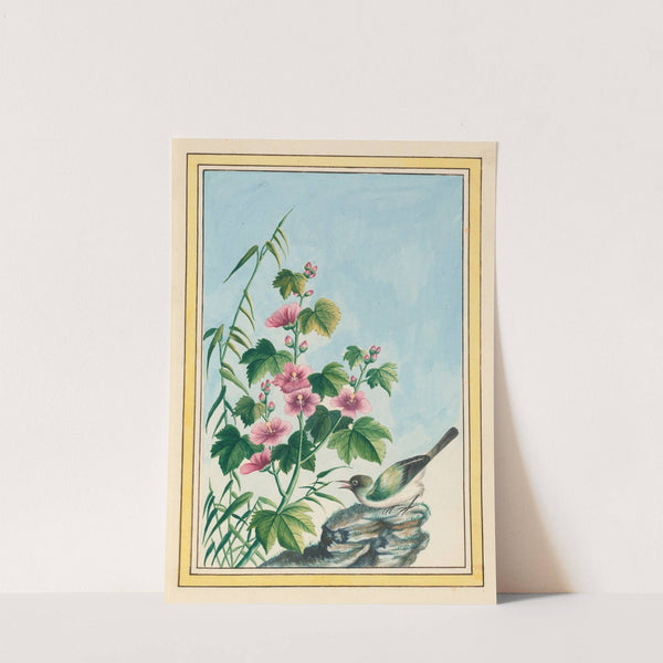 Plantes de Chine Pl.019 (1776) by Pierre Joseph Buchoz