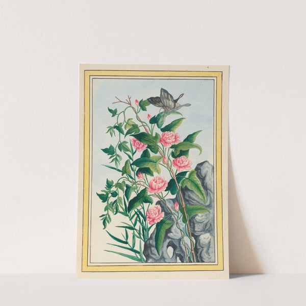 Plantes de Chine Pl.022 (1776) by Pierre Joseph Buchoz