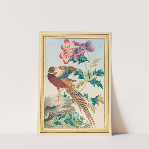 Plantes de Chine Pl.024 (1776) by Pierre Joseph Buchoz