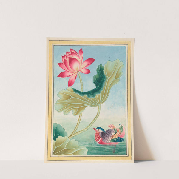 Plantes de Chine Pl.026 (1776) by Pierre Joseph Buchoz