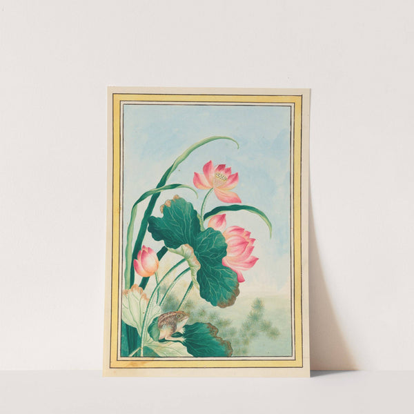 Plantes de Chine Pl.027 (1776) by Pierre Joseph Buchoz