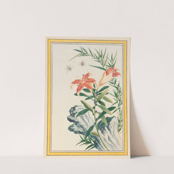 Plantes de Chine Pl.033 (1776) by Pierre Joseph Buchoz