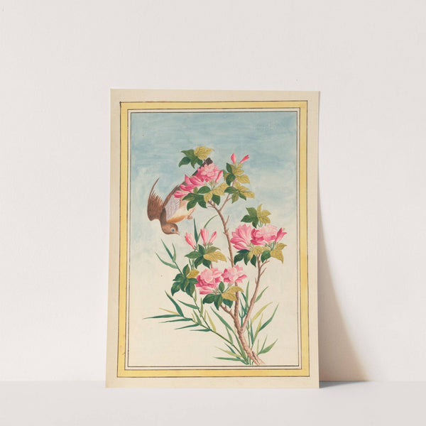 Plantes de Chine Pl.043 (1776) by Pierre Joseph Buchoz