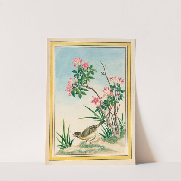 Plantes de Chine Pl.044 (1776) by Pierre Joseph Buchoz