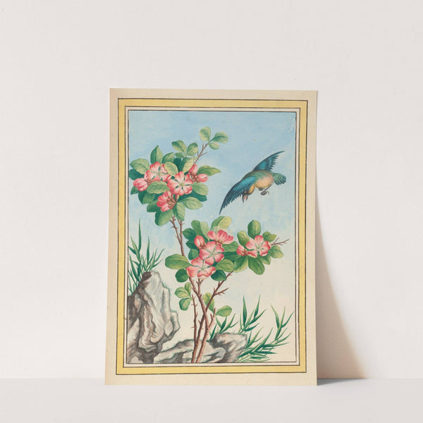 Plantes de Chine Pl.045 (1776) by Pierre Joseph Buchoz