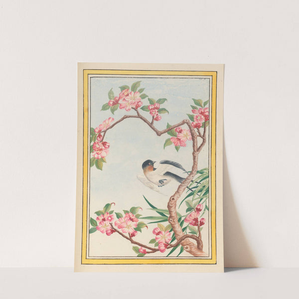 Plantes de Chine Pl.050 (1776) by Pierre Joseph Buchoz