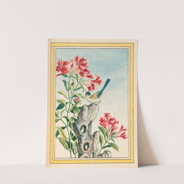 Plantes de Chine Pl.055 (1776) by Pierre Joseph Buchoz