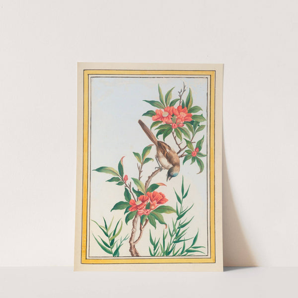 Plantes de Chine Pl.056 (1776) by Pierre Joseph Buchoz