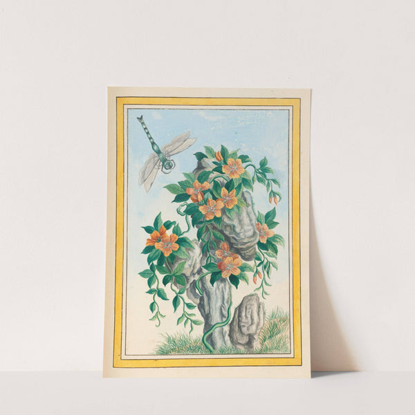 Plantes de Chine Pl.058 (1776) by Pierre Joseph Buchoz