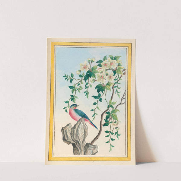 Plantes de Chine Pl.063 (1776) by Pierre Joseph Buchoz