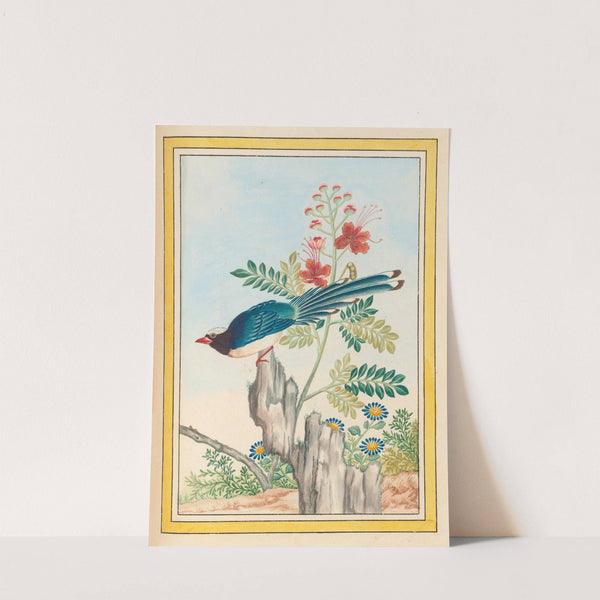 Plantes de Chine Pl.071 (1776) by Pierre Joseph Buchoz