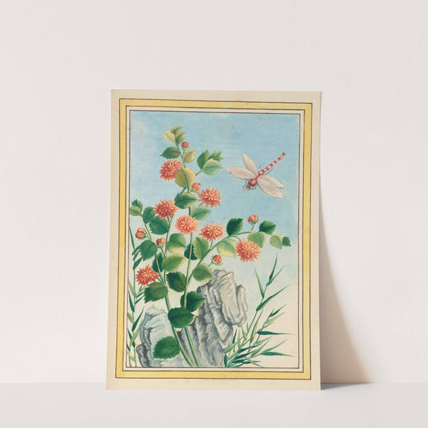 Plantes de Chine Pl.073 (1776) by Pierre Joseph Buchoz