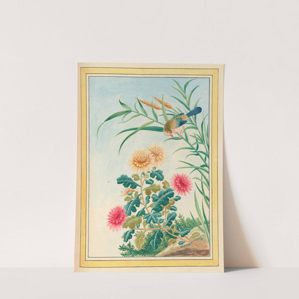 Plantes de Chine Pl.075 (1776) by Pierre Joseph Buchoz