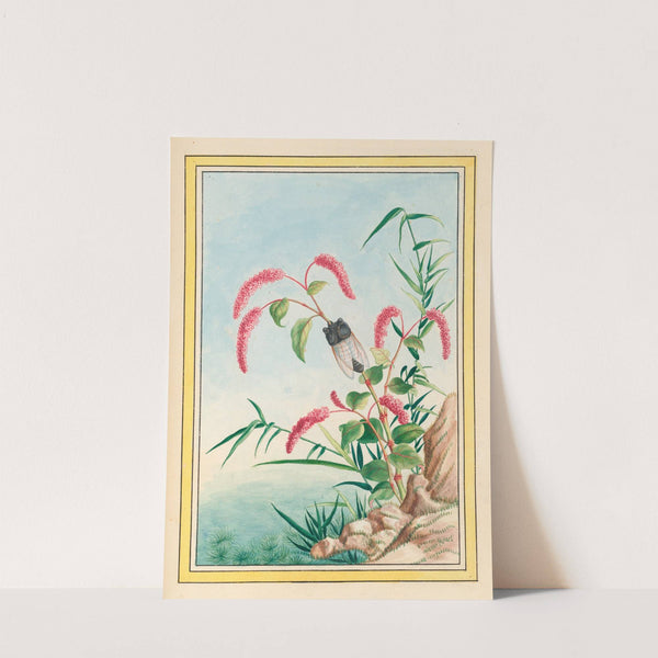 Plantes de Chine Pl.082 (1776) by Pierre Joseph Buchoz