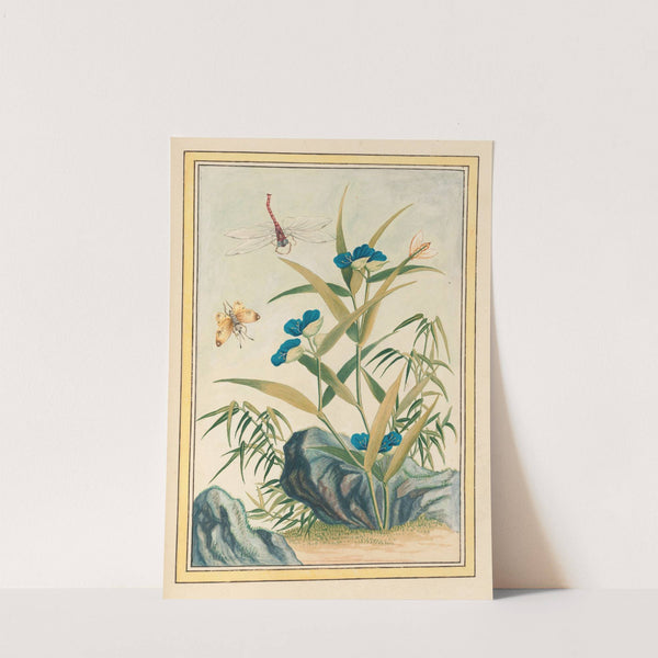 Plantes de Chine Pl.083 (1776) by Pierre Joseph Buchoz