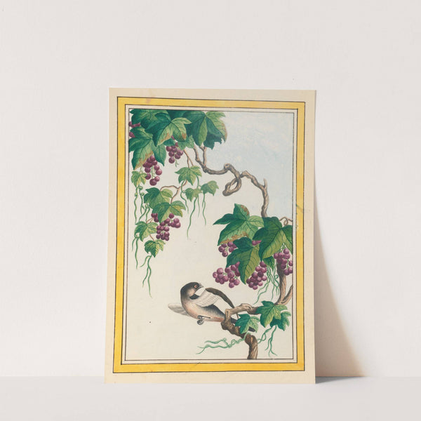 Plantes de Chine Pl.091 (1776) by Pierre Joseph Buchoz