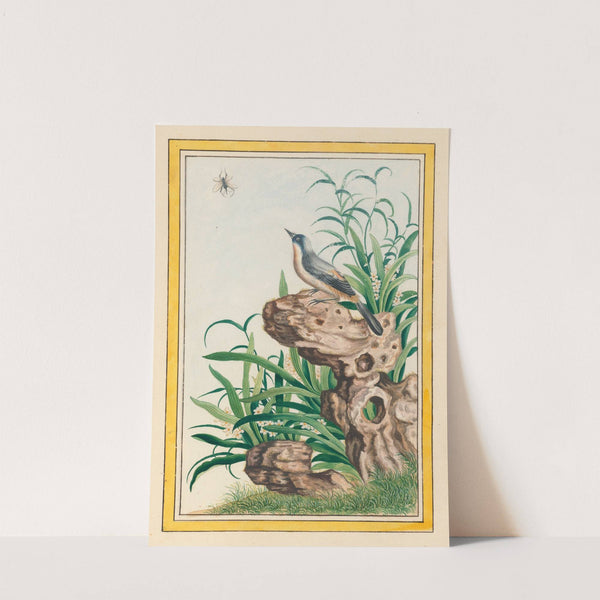 Plantes de Chine Pl.095 (1776) by Pierre Joseph Buchoz