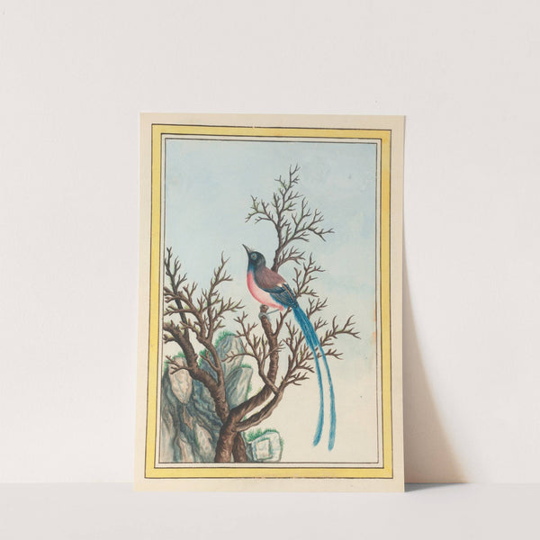 Plantes de Chine Pl.099 (1776) by Pierre Joseph Buchoz