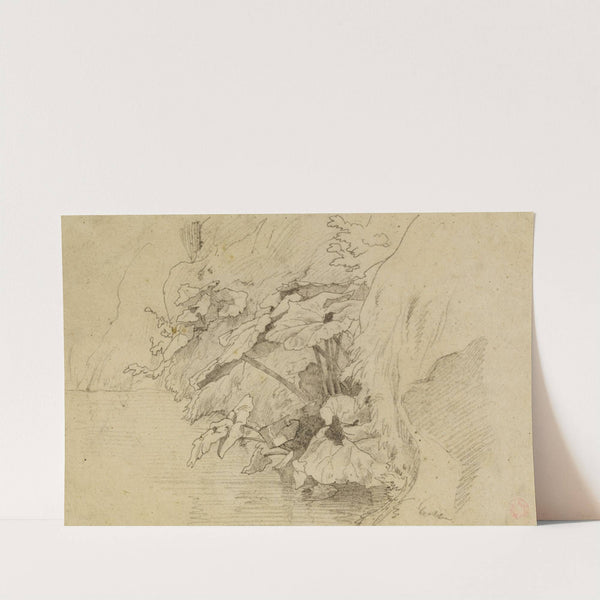 Plantes by Jean-Achille Benouville