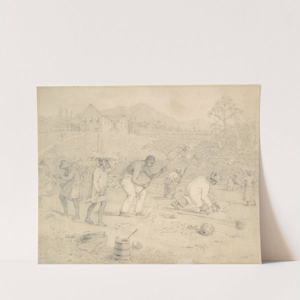 Planting the sugar cane (Trinidad) by Richard Bridgens