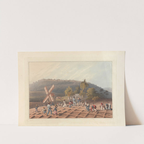 Planting the sugar cane (1823) by William A. V. Clark