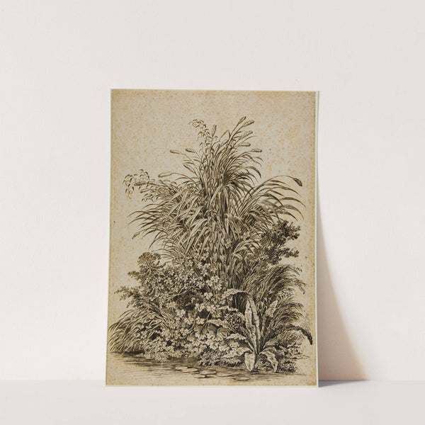 Plants at Water’s Edge by Carl Wilhelm Kolbe the elder