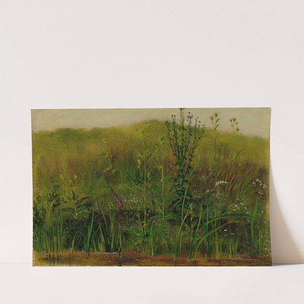 Plants on the bank by Christian Friedrich Gille