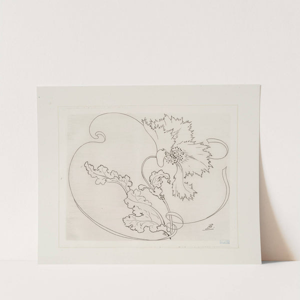 Plat rond (pavot). (1866 - 1878) by Félix Bracquemond